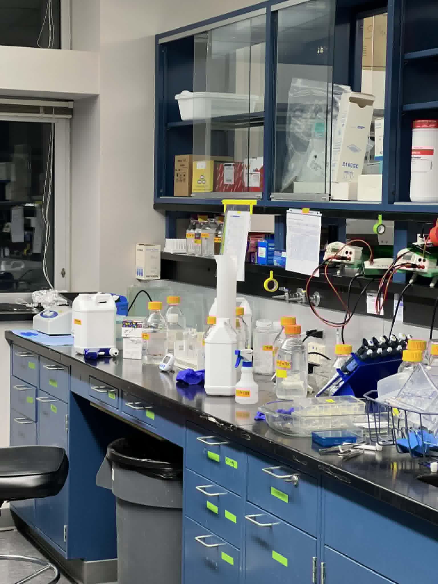 Lab 